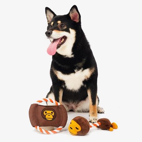 Bape sort une série d’accessoires pour chiens Bape sort une série d’accessoires pour chiens