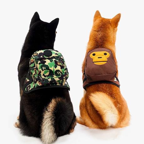 Bape sort une série d’accessoires pour chiens Bape sort une série d’accessoires pour chiens