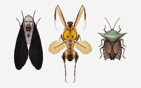 Ces insectes sont des personnages de la pop culture