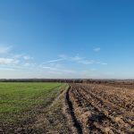 Du métro au maraîchage bio : la revalorisation de terres excavées