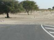 entreprises hexagonales sont-elles victimes défaillance stratégique politique française Tchad