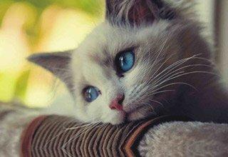 Le Naufragé des Banlieues à Qui On Demande de Retourner se Baigner