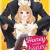 Honey come honey T01 de Yuki Shiraishi