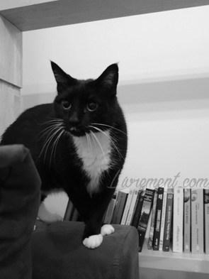 Il a plu chez moi ⛈