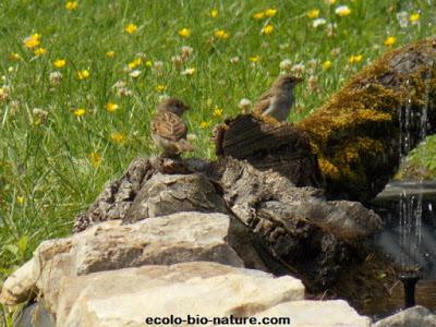 La mare fait de plus en plus d'adeptes La mare fait de plus en plus d'adeptes