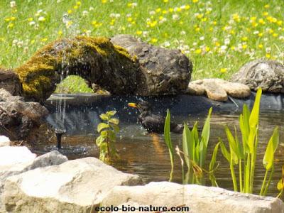 La mare fait de plus en plus d'adeptes La mare fait de plus en plus d'adeptes