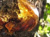 seul désir Cœur Reconnaissance