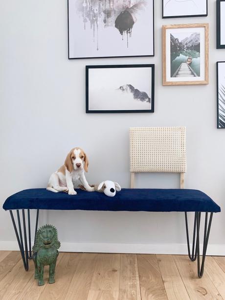 diy faire soi même un banc cannage velours bleu roi blog déco clemaroundthecorner