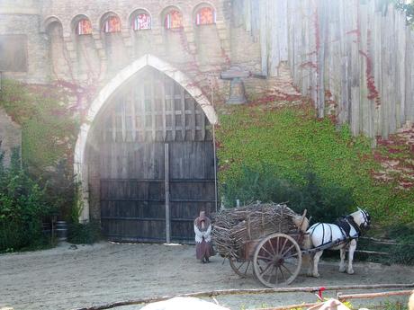 La France - Le Puy du Fou - Un spectacle