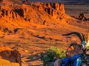 planète mais tout suite