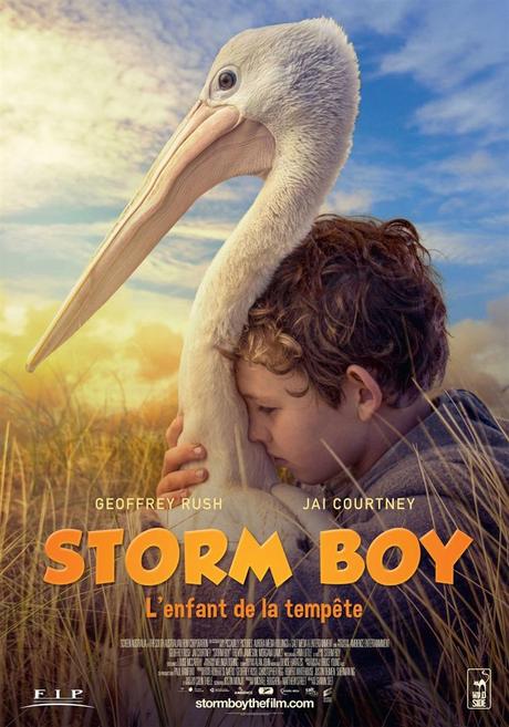 Storm Boy, depuis le 27 juin 2019 en VOD
