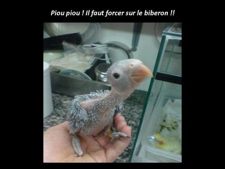 Divers - Un régal pour les yeux - suite