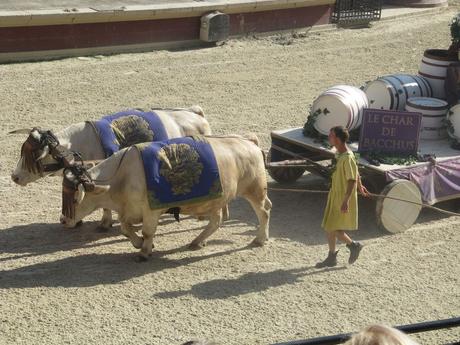 La France - Le Puy du Fou - Dans l'arène