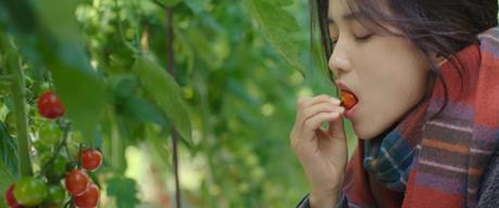 [CRITIQUE] : Petite Forêt