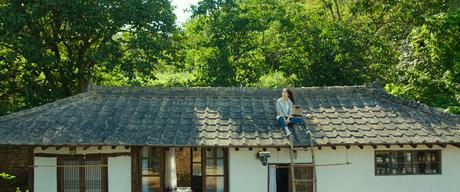 [CRITIQUE] : Petite Forêt