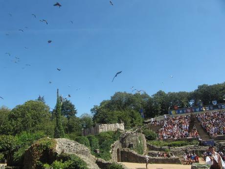 La France - Le Puy du Fou - Les Rapaces