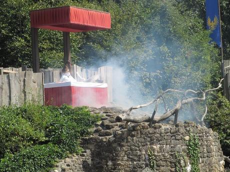 La France - Le Puy du Fou - Les Rapaces