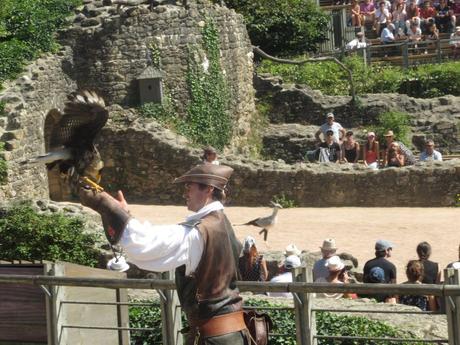 La France - Le Puy du Fou - Les Rapaces