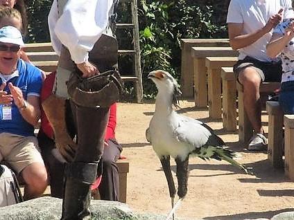 La France - Le Puy du Fou - Les Rapaces