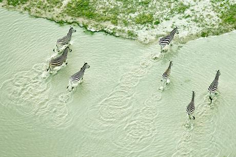 [PHOTOGRAPHIE] : Aerial Botswana