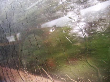 La France - Un jour de balade