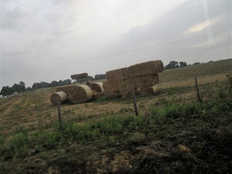 La France - Un jour de balade
