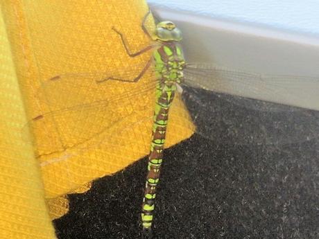 La France - Un jour de balade