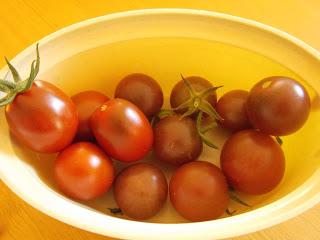 La sexualité des fleurs de tomate