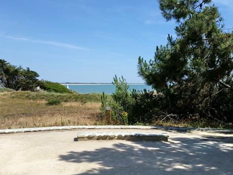 LA VILLA « GROSSE TERRE « photo 8