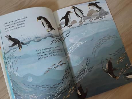 Nos incroyables animaux marins autocollants de Yuval Zommer