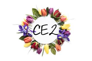 1543. Bilan de cette année en CE2