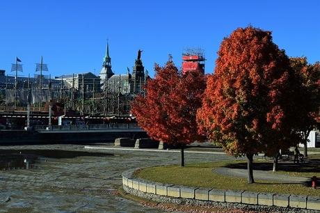Pourquoi l’automne est-elle la meilleure saison pour visiter le Canada et Montréal ?