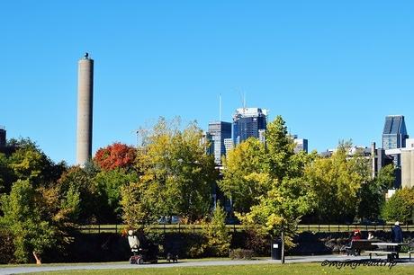 Pourquoi l’automne est-elle la meilleure saison pour visiter le Canada et Montréal ?