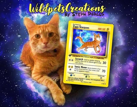 Elle réalise des cartes Pokemon à l’effigie de votre animal de compagnie Elle réalise des cartes Pokemon à l’effigie de votre animal de compagnie