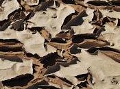 L'éloignement monde