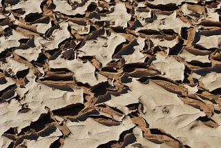 L'éloignement du monde