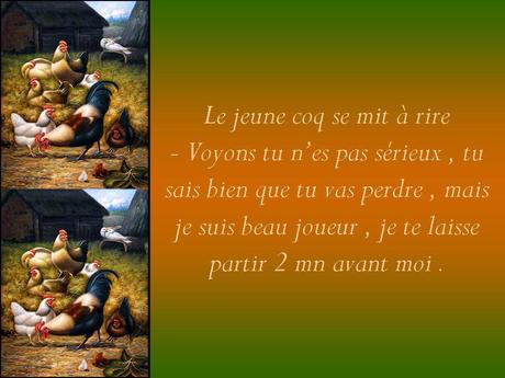 Divers - Les coqs….