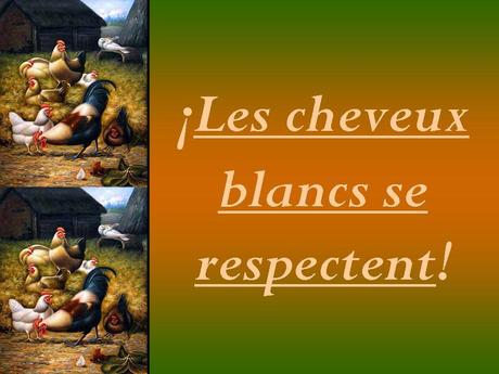 Divers - Les coqs….