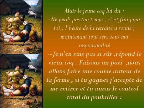 Divers - Les coqs….