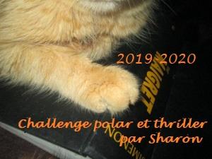 Challenge Polar et Thriller 2019-2020 Challenge Polar et Thriller 2019-2020