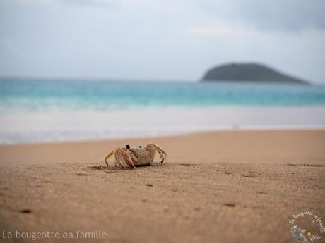 Notre roadtrip en van en Guadeloupe