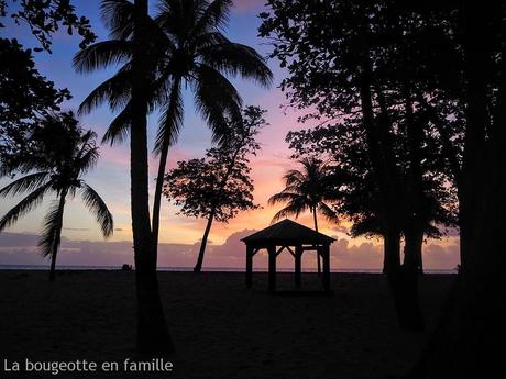 Notre roadtrip en van en Guadeloupe