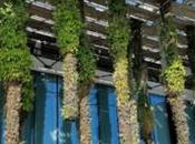 Rêver futur caraïbe