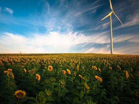 Economies d’énergie : Comment faire pour sensibiliser les jeunes ? Economies d’énergie : Comment faire pour sensibiliser les jeunes ?