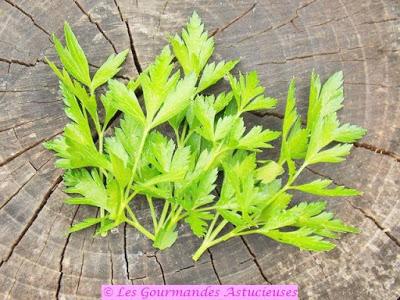 Biscuits apéritifs aux 3 saveurs (Vegan)