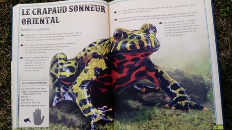 Le livre extraordinaire des reptiles et amphibiens – Tom Jackson et Mat Edwards