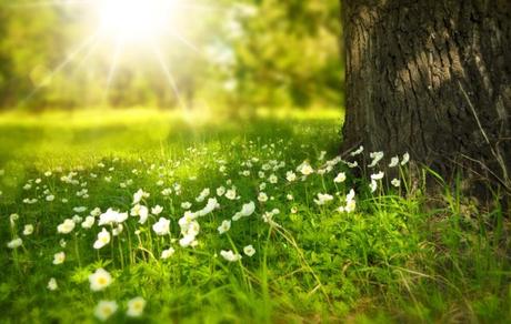 L’influence de la lumière sur notre santé L’influence de la lumière sur notre santé