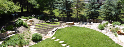 Bon timing, meilleur arrosage