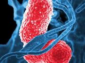 INFECTIONS NOSOCOMIALES L’épidémiologie numérique pour mieux contrôler risque