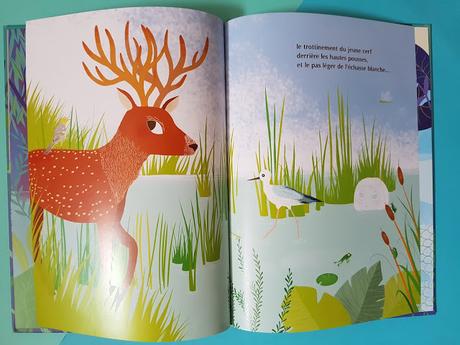 Le long de la rivière de Claire Buron